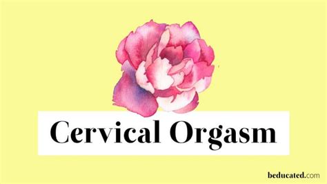 Fornix Orgasm How To Have A Cervical Orgasm