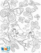 Rio Coloring Pages Sheets Printable Activity Blu Movie Family Ray Color Dvd Coming Print July Activities Printables Nigel Busy Fheinsiders sketch template