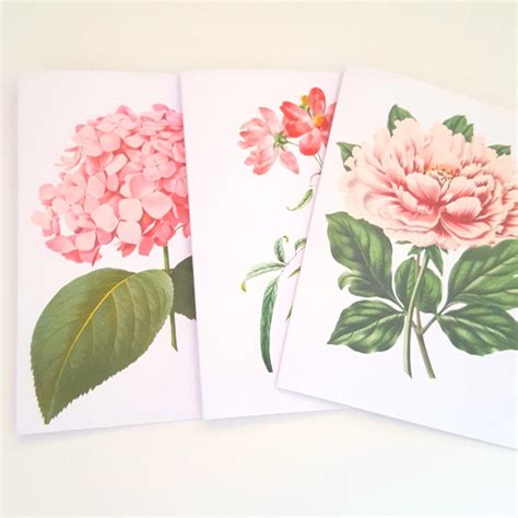 botanical floral note cards set etsy floral note cards note cards