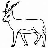 Antelope Coloring Pages Getcolorings Printable Color Print sketch template