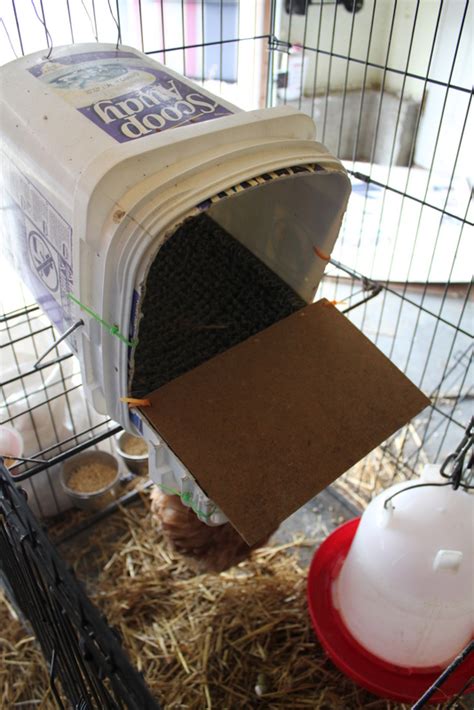 diy roll  nest box  pet chicken blog