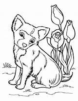Coloring Pages Easter Puppy Getdrawings sketch template