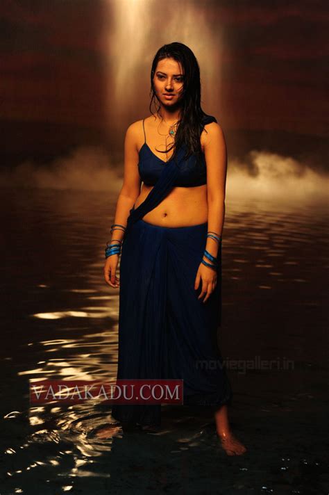 actress isha chawla new hot photo gallery isha chawla in saree stills ~ vadakadu