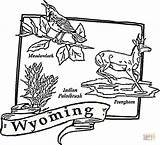 Wyoming sketch template