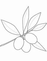 Olives Coloring Pages Printable Supercoloring Categories sketch template