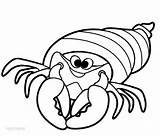 Crab Hermit Einsiedlerkrebs Caranguejo Malvorlagen Carle Eric Clipartmag Cool2bkids Clipartfest Tudodesenhos Maternelle Wikiclipart sketch template
