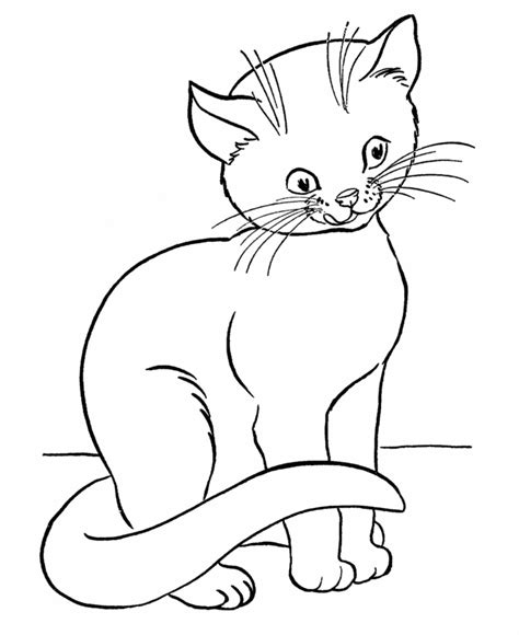 printable cat coloring pages  kids