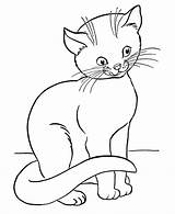 Pages Cat Coloring Cats Color Printable Kids Animal sketch template