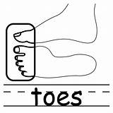 Toes Clipart Body Toe Elbow Coloring Clip Cliparts Parts Library Use Websites Presentations Reports Powerpoint Projects These Clipartbest sketch template
