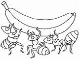 Coloring Ants Lifting Pages Together Ant Banana Three Work sketch template