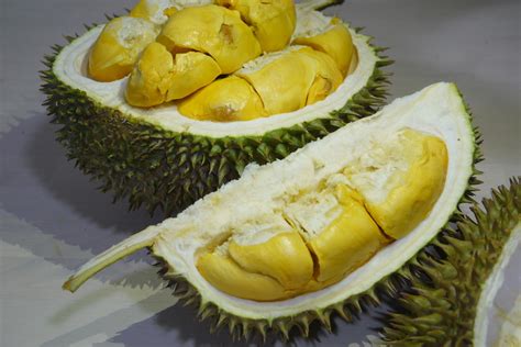 types  durians    pick   durian blog youtrip