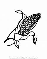 Coloring Corn Popular sketch template