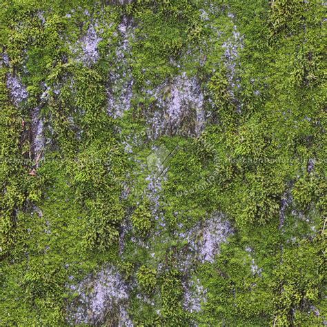 Rock Moss Texture Seamless 13165