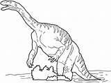 Plateosaurus Coloring Dinosaur Drawings Oviraptor sketch template