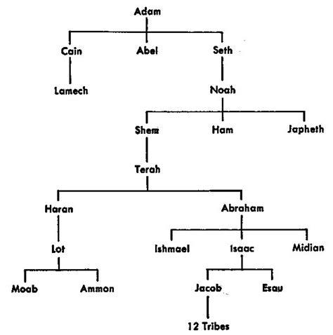 adam eve noah abraham family tree google search bible family tree bible genealogy abrahams