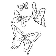 small butterfly coloring pages  getdrawings