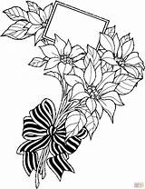 Coloring Poinsettia Kids sketch template