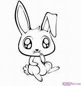 Bunny Draw Cute Easter Drawing Rabbit Coloring Dragoart Step Drawings Pages Baby Animal Cartoon Kids Coelho Animals Para Characters Desenhar sketch template