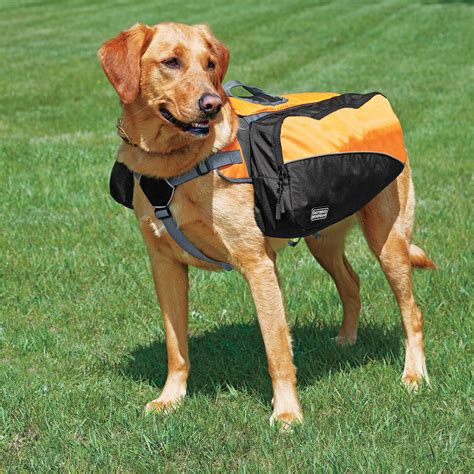 popular dog backpacks backpack outpost