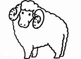 Sheep Coloring Bighorn Pages Getcolorings sketch template