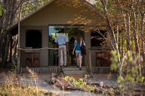 iganyana tented camp luxury tented accommodation venture  zimbabwe