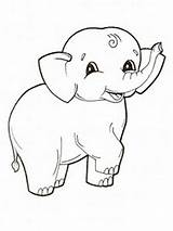 Elephant Printable Kids Coloring Pages Bestcoloringpagesforkids sketch template