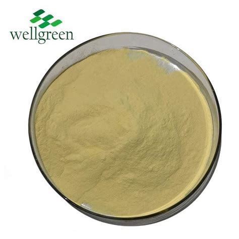 natural food supplements yeast extract powder yeast extract powder