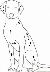 Dalmatian Portrait Coloringpages101 sketch template