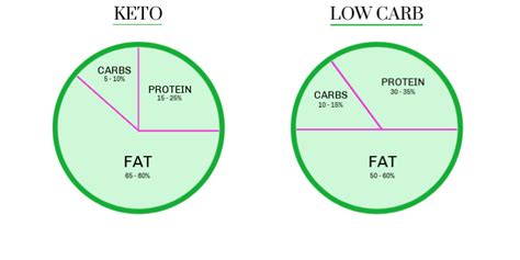 keto   carb beginners diet guide holistic yum