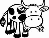 Cow Outline Pages Coloring Printable Grass Funny Cartoon Cows Farm Animal Baby Eating Kids Animals Face Cute Clipartmag Choose Board sketch template