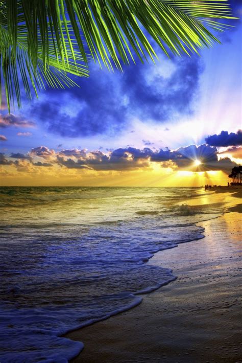 beautiful caribbean sky dominican republic