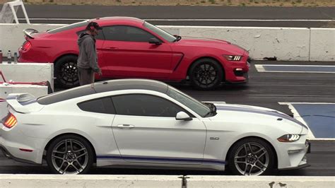 mustang gt  shelby gt  mile drag race youtube