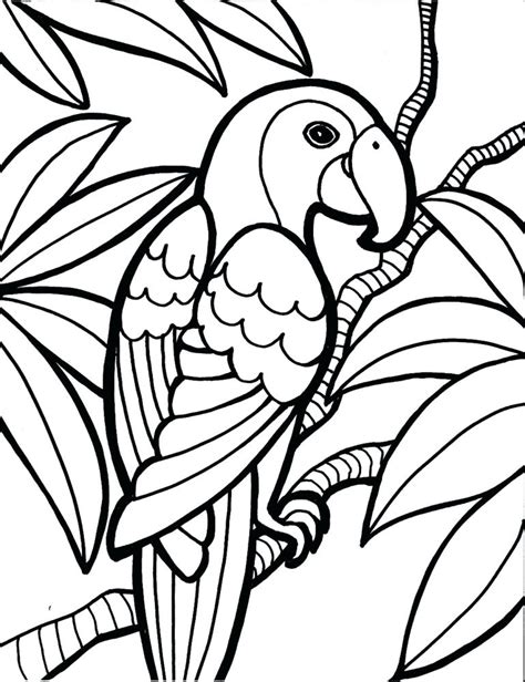 tropical bird drawing  getdrawings