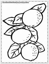 Coloring Orange Tree Pages Fruit Printable Kids Google Related Post Popular sketch template