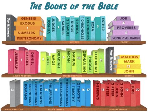 books   bible kids game activity kids answers