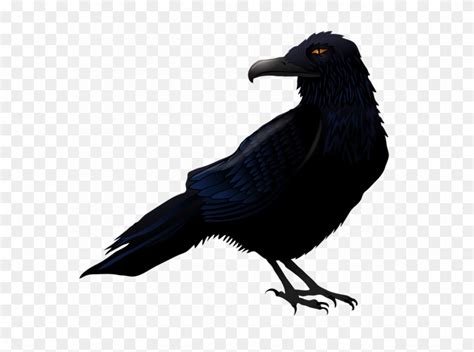 halloween crow png high quality image raven clipart png