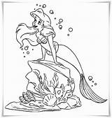 Arielle Filly Prinzessin Malvorlagen Mermaids Meerjungfrau sketch template
