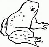 Frog Coloring Pages Kids Frogs Small Hopping Printable Drawing Prince Book Ready Color Children Popular Pattern Getdrawings Getcolorings Coloringhome sketch template