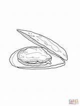 Cozza Mussel Moules Molluschi Aperta Disegnare Stampare sketch template