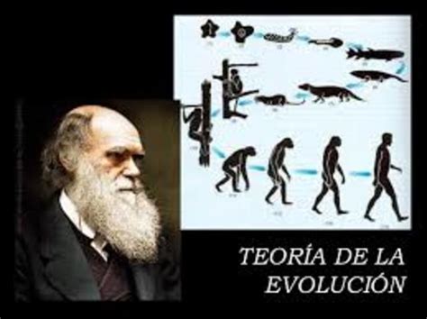 Las Teorías De La Evolución Y Sus Autores Timeline Timetoast Timelines