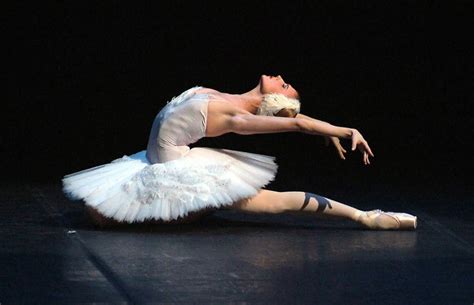 the dying swan swan lake ballet tchaïkovski svetlana zakharova