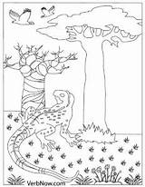 Coloring Lizard Lizards Verbnow sketch template