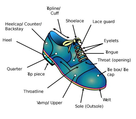 shoe diagram shoe wikipedia      shoes shoe pattern shoes