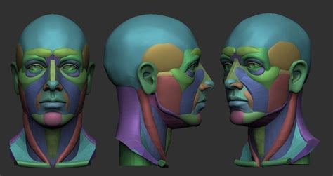 Planar Simplified Male Head 3d Print Model Drawings