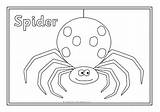Minibeasts Colouring Sheets Pages Sparklebox Mad Coloring sketch template