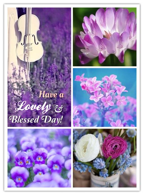 from my precious dear friend teresa kleur borde good morning flowers good morning