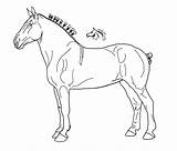 Horse Draft Coloring Pages Lineart Deviantart Horses Shire Drawing Carabao Draught Drawings Sketch Getcolorings Body Printable Color Colorings Getdrawings Designlooter sketch template