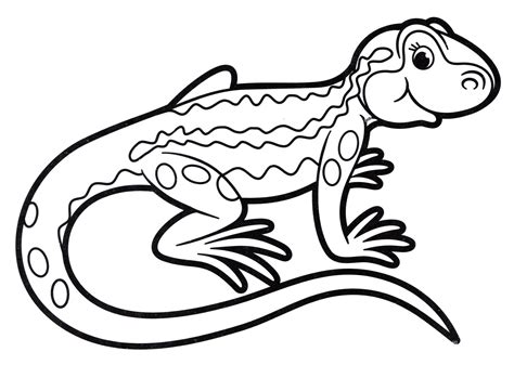lizard coloring pages    print