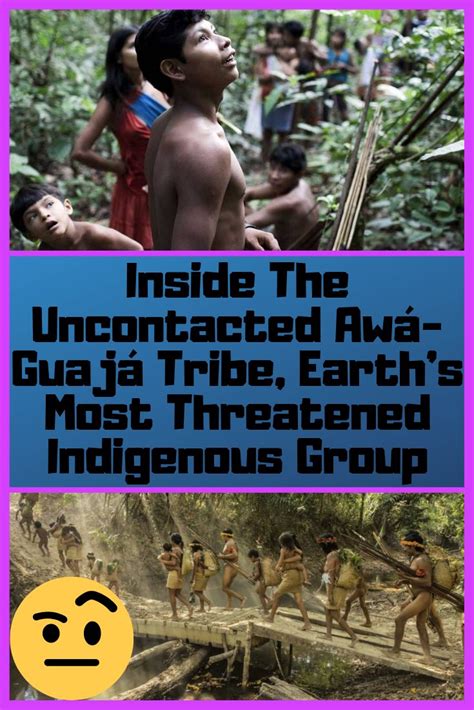 rare footage proves existence of uncontacted amazon tribe widely