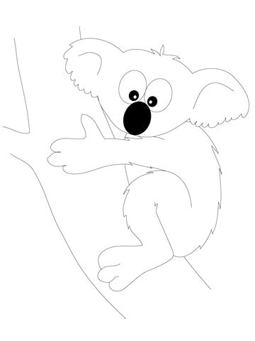 funny koala bear coloring page super coloring